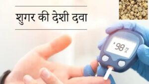 पनीर डोडी (Paneer Dodi