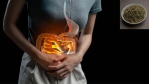 पाचन तंत्र