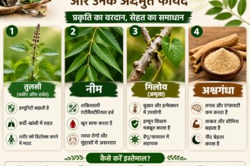 Ayurvedic Herbs for Immunity
