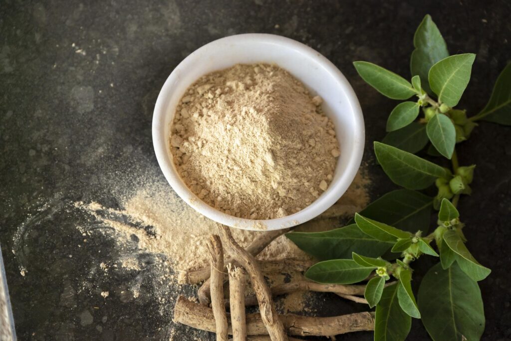 Ayurvedic Herbs for Immunity